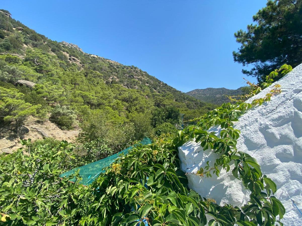 Oleander'S Garden Traditional Cretan Cottage Ferma Extérieur photo