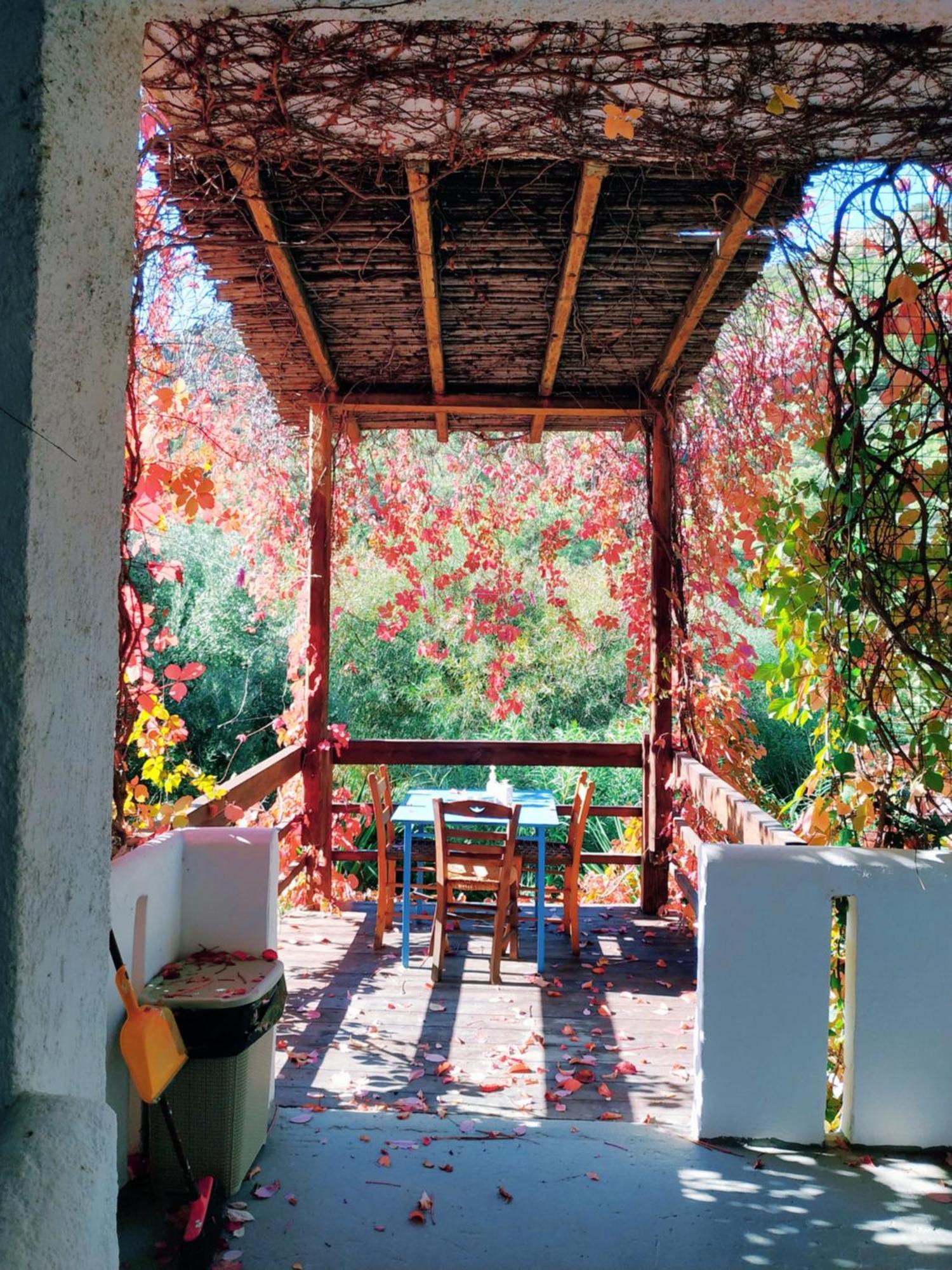 Oleander'S Garden Traditional Cretan Cottage Ferma Extérieur photo