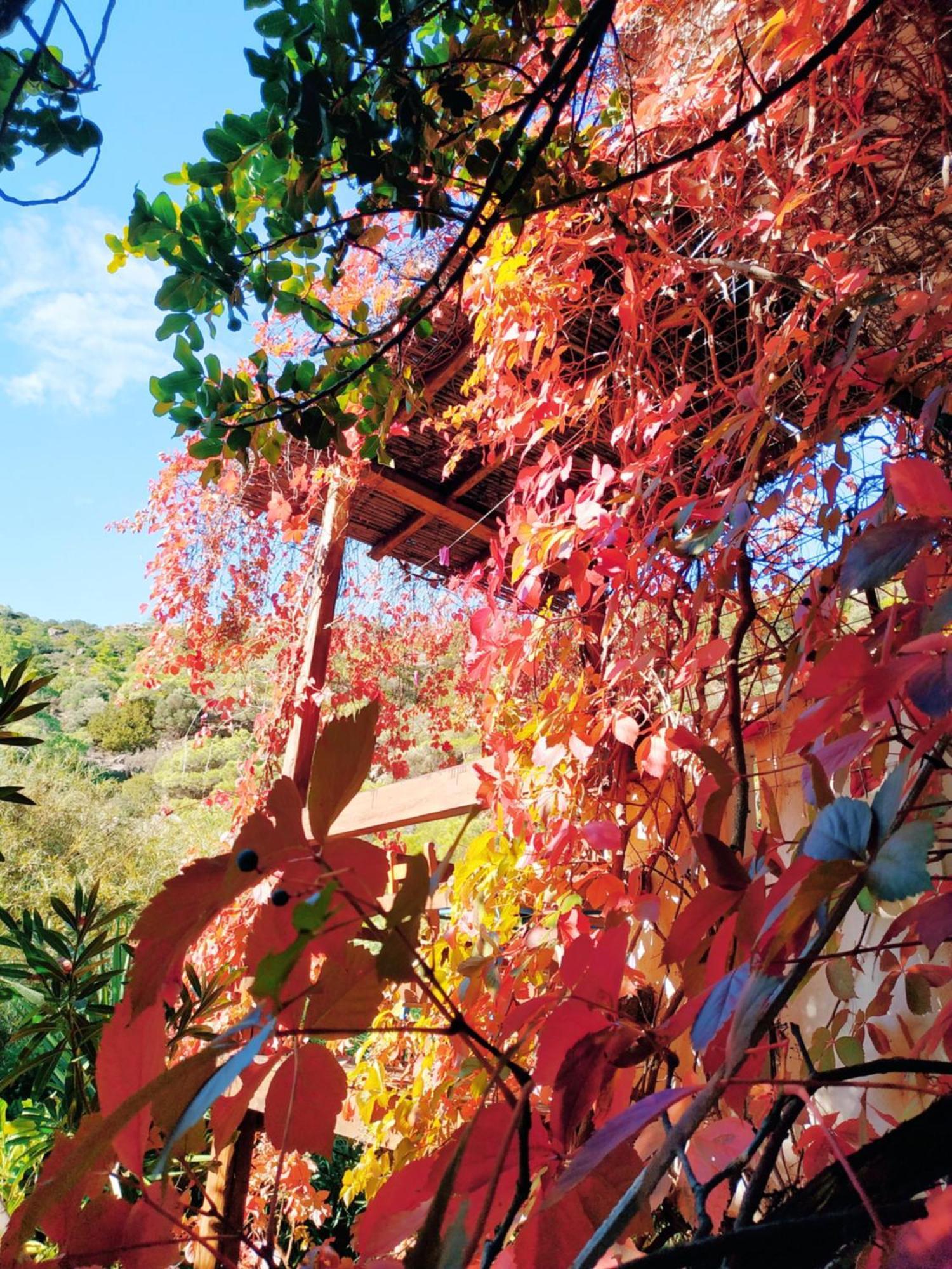 Oleander'S Garden Traditional Cretan Cottage Ferma Extérieur photo