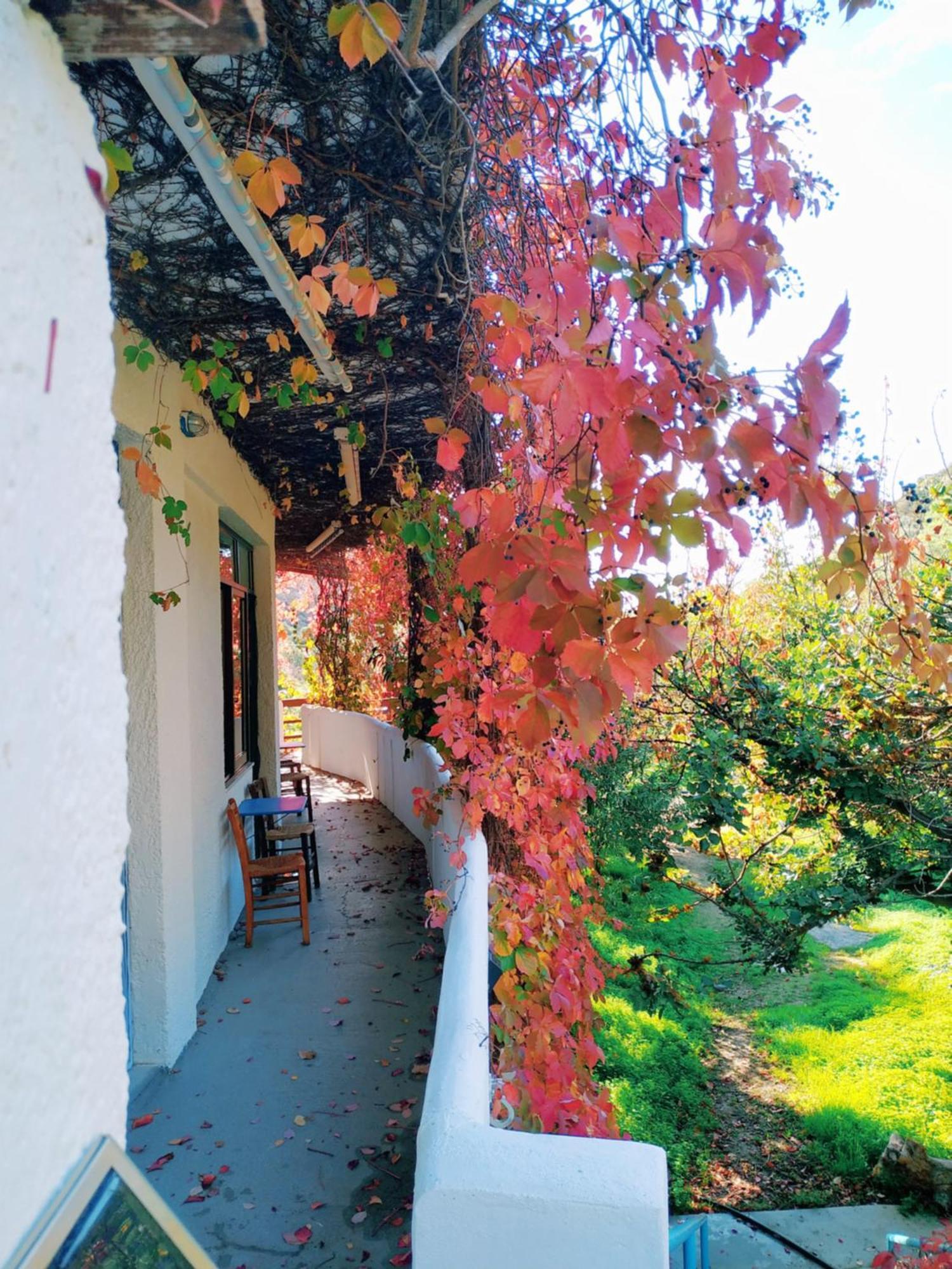 Oleander'S Garden Traditional Cretan Cottage Ferma Extérieur photo