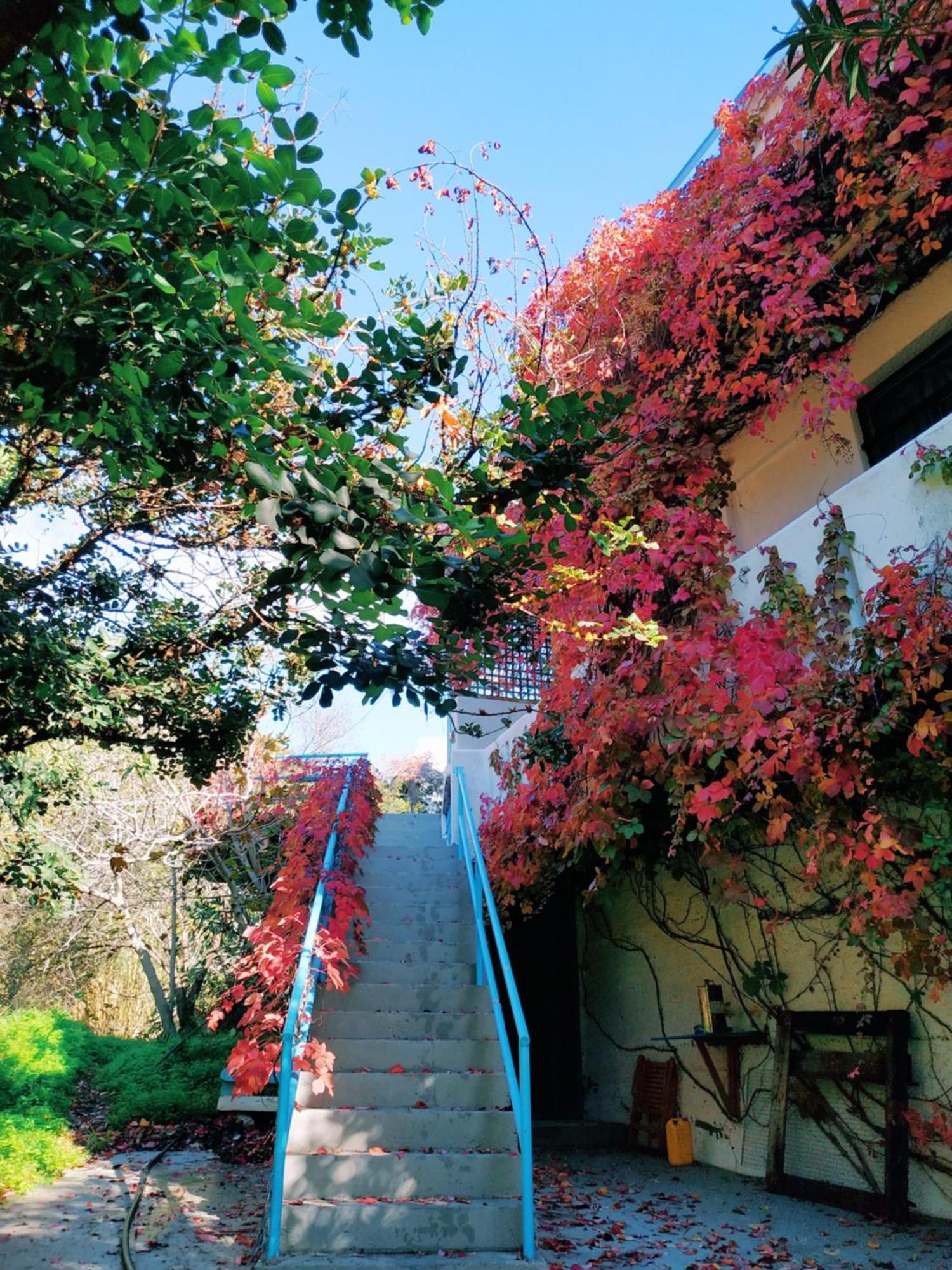Oleander'S Garden Traditional Cretan Cottage Ferma Extérieur photo