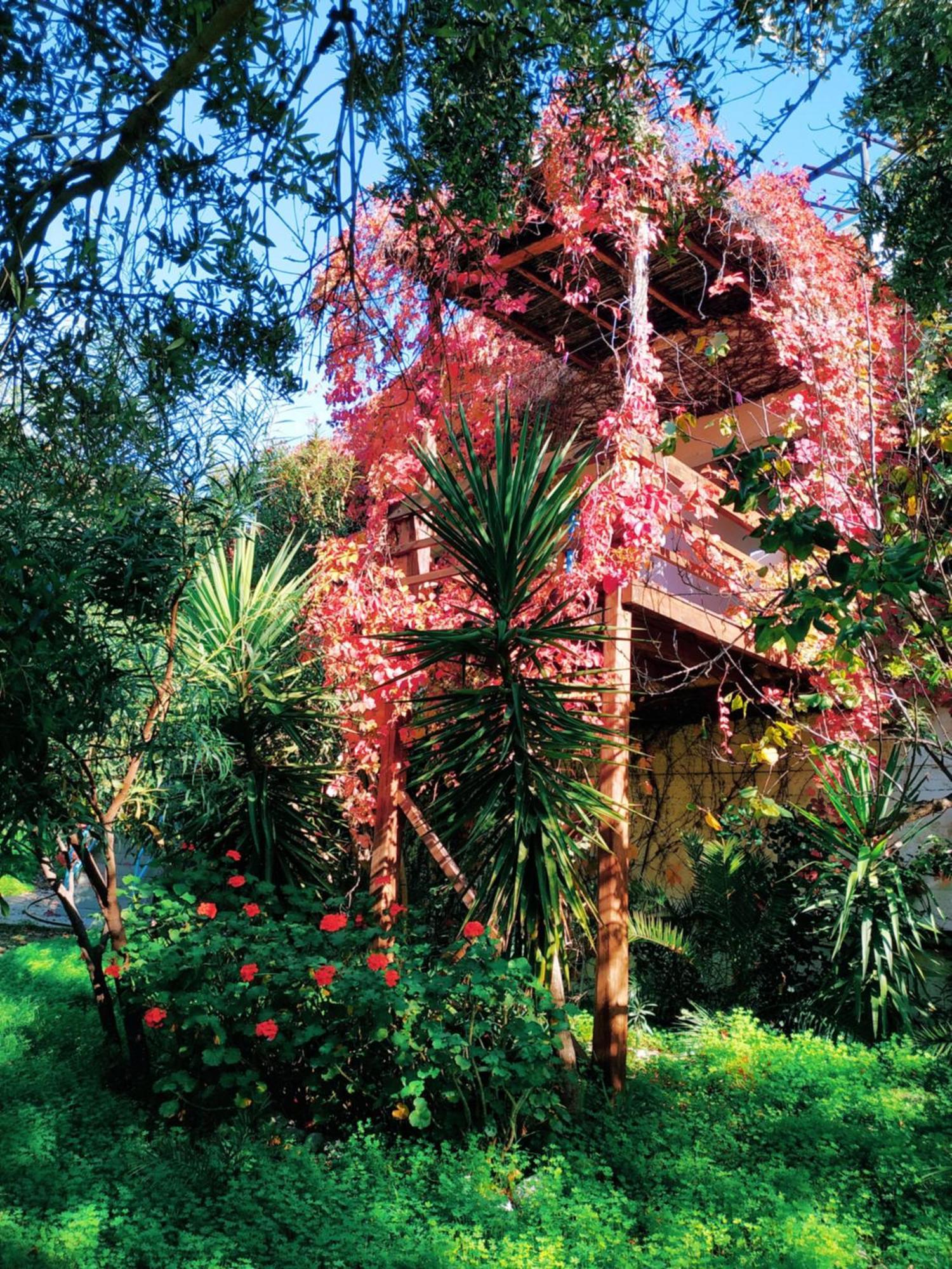 Oleander'S Garden Traditional Cretan Cottage Ferma Extérieur photo