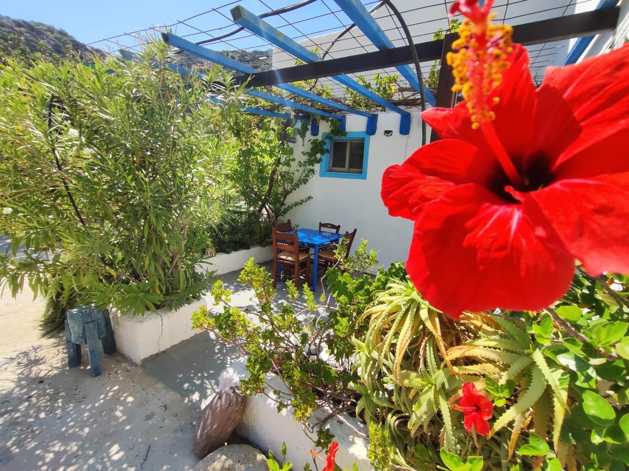 Oleander'S Garden Traditional Cretan Cottage Ferma Extérieur photo