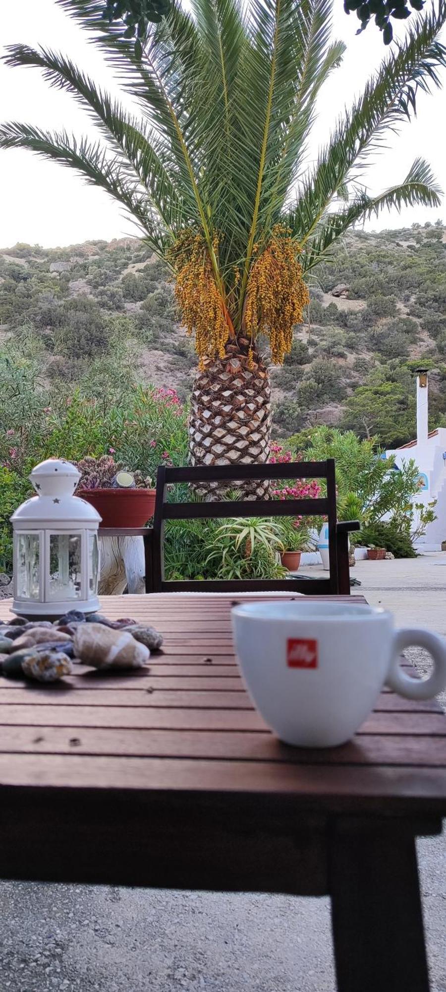 Oleander'S Garden Traditional Cretan Cottage Ferma Extérieur photo